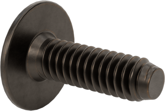 Ahşap için Bağlama Vidaları, Bronz Kaplama, 1/4“-20, 0,787” Diş Uzunluğu, 0,787“ Uzunluk, 0,669” Baş