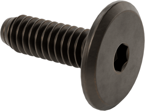 Ahşap için Bağlama Vidaları, Bronz Kaplama, 1/4“-20, 0,787” Diş Uzunluğu, 0,787“ Uzunluk, 0,669” Baş