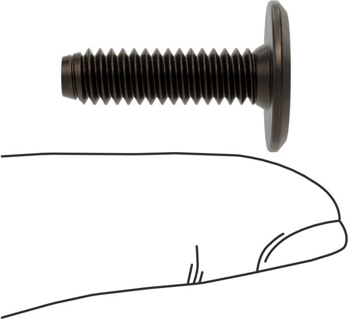 Ahşap için Bağlama Vidaları, Bronz Kaplama, 1/4“-20, 0,906” Diş Uzunluğu, 0,906“ Uzunluk, 0,669” Baş