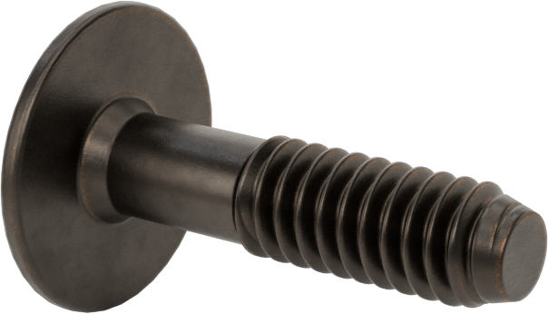 Ahşap için Bağlama Vidaları, Bronz Kaplama, 1/4“-20, 0,591” Diş Uzunluğu, 0,984“ Uzunluk, 0,669” Baş