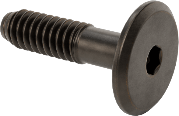 Ahşap için Bağlama Vidaları, Bronz Kaplama, 1/4“-20, 0,591” Diş Uzunluğu, 0,984“ Uzunluk, 0,669” Baş