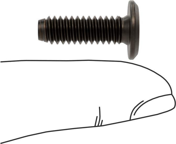 Ahşap için Bağlama Vidaları, Bronz Kaplama, 1/4“-20, 0,704” Diş Uzunluğu, 0,787“ Uzunluk, 0,519” Baş