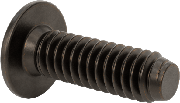 Ahşap için Bağlama Vidaları, Bronz Kaplama, 1/4“-20, 0,704” Diş Uzunluğu, 0,787“ Uzunluk, 0,519” Baş