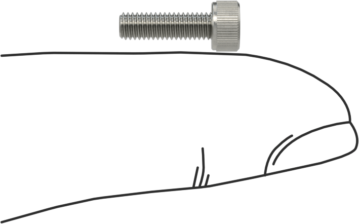 Temizlenmiş ve Torbalı 18-8 Paslanmaz Çelik Havalandırmalı Soket Başlı Vida, Yüksek Vakum, M3 x 0,50 mm Dişli Boyutu, 10 mm Uzunluk