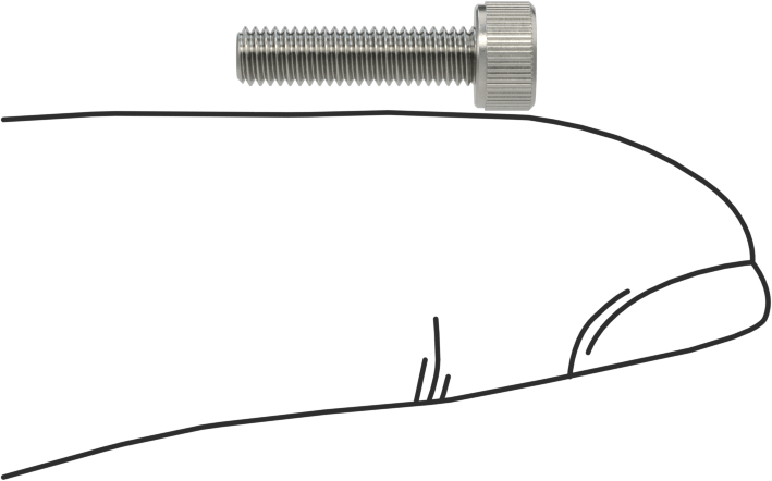 Temizlenmiş ve Torbalı 18-8 Paslanmaz Çelik Havalandırmalı Soket Başlı Vida, Yüksek Vakum, M3 x 0,50 mm Dişli Boyutu, 12 mm Uzunluk
