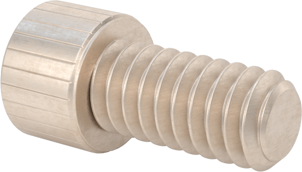 Temizlenmiş ve Torbalı 18-8 Paslanmaz Çelik Soket Başlı Vida, Yüksek Vakum için, 1/4"-20 Diş Boyutu, 1/2" Uzunluk