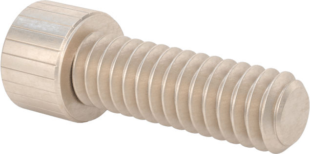 Temizlenmiş ve Torbalı 18-8 Paslanmaz Çelik Soket Başlı Vida, Yüksek Vakum için, 1/4"-20 Diş Boyutu, 3/4" Uzunluk