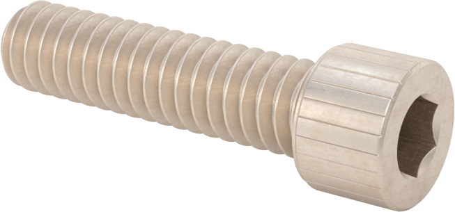 Temizlenmiş ve Torbalı 18-8 Paslanmaz Çelik Soket Başlı Vida, Yüksek Vakum için, 1/4"-20 Diş Boyutu, 1" Uzunluk