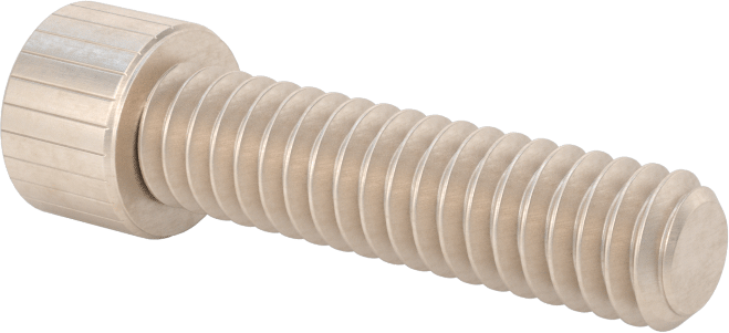 Temizlenmiş ve Torbalı 18-8 Paslanmaz Çelik Soket Başlı Vida, Yüksek Vakum için, 1/4"-20 Diş Boyutu, 1" Uzunluk