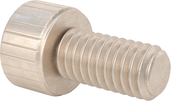 Temizlenmiş ve Torbalı 18-8 Paslanmaz Çelik Soket Başlı Vida, Yüksek Vakum için, M4 x 0,7 mm Diş Boyutu, 8 mm Uzunluk