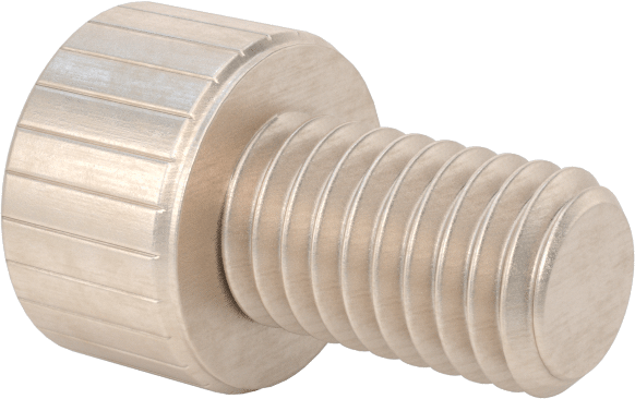 Temizlenmiş ve Torbalı 18-8 Paslanmaz Çelik Soket Başlı Vida, Yüksek Vakum için, M5 x 0,8 mm Diş Boyutu, 8 mm Uzunluk
