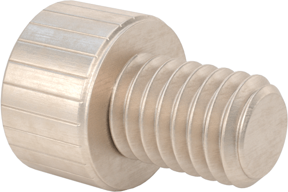 Temizlenmiş ve Torbalı 18-8 Paslanmaz Çelik Soket Başlı Vida, Yüksek Vakum için, M6 x 1 mm Diş Boyutu, 8 mm Uzunluk