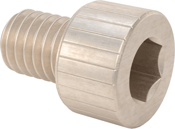 Temizlenmiş ve Torbalı 18-8 Paslanmaz Çelik Soket Başlı Vida, Yüksek Vakum için, M6 x 1 mm Diş Boyutu, 8 mm Uzunluk