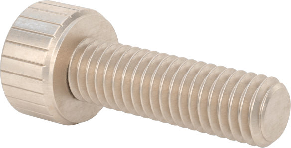 Temizlenmiş ve Torbalı 18-8 Paslanmaz Çelik Soket Başlı Vida, Yüksek Vakum için, M3 x 0,5 mm Diş Boyutu, 10 mm Uzunluk