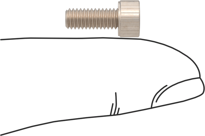 Temizlenmiş ve Torbalı 18-8 Paslanmaz Çelik Soket Başlı Vida, Yüksek Vakum için, M4 x 0,7 mm Diş Boyutu, 10 mm Uzunluk