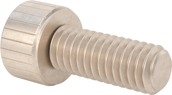 Temizlenmiş ve Torbalı 18-8 Paslanmaz Çelik Soket Başlı Vida, Yüksek Vakum için, M4 x 0,7 mm Diş Boyutu, 10 mm Uzunluk
