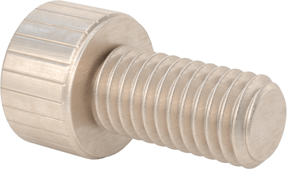 Temizlenmiş ve Torbalı 18-8 Paslanmaz Çelik Soket Başlı Vida, Yüksek Vakum için, M5 x 0,8 mm Diş Boyutu, 10 mm Uzunluk