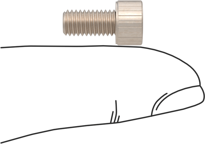 Temizlenmiş ve Torbalı 18-8 Paslanmaz Çelik Soket Başlı Vida, Yüksek Vakum için, M5 x 0,8 mm Diş Boyutu, 10 mm Uzunluk