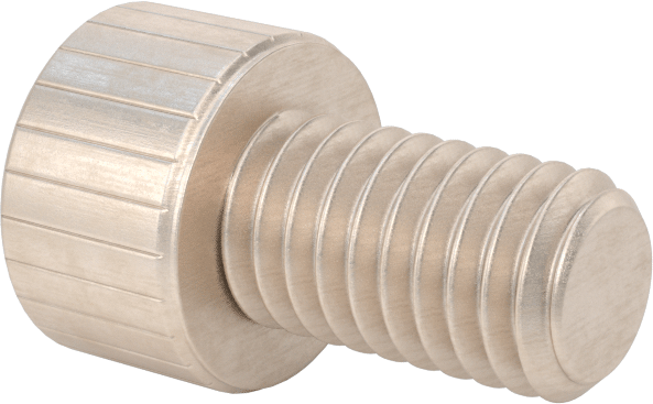 Temizlenmiş ve Torbalı 18-8 Paslanmaz Çelik Soket Başlı Vida, Yüksek Vakum için, M6 x 1 mm Diş Boyutu, 10 mm Uzunluk