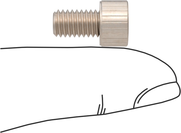 Temizlenmiş ve Torbalı 18-8 Paslanmaz Çelik Soket Başlı Vida, Yüksek Vakum için, M6 x 1 mm Diş Boyutu, 10 mm Uzunluk