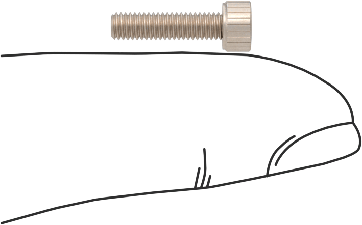 Temizlenmiş ve Torbalı 18-8 Paslanmaz Çelik Soket Başlı Vida, Yüksek Vakum için, M3 x 0,5 mm Diş Boyutu, 12 mm Uzunluk