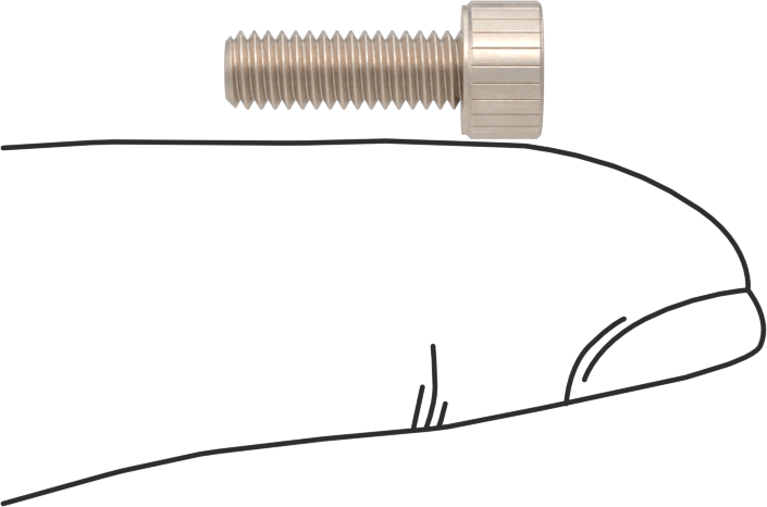 Temizlenmiş ve Torbalı 18-8 Paslanmaz Çelik Soket Başlı Vida, Yüksek Vakum için, M4 x 0,7 mm Diş Boyutu, 12 mm Uzunluk