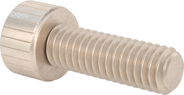 Temizlenmiş ve Torbalı 18-8 Paslanmaz Çelik Soket Başlı Vida, Yüksek Vakum için, M4 x 0,7 mm Diş Boyutu, 12 mm Uzunluk