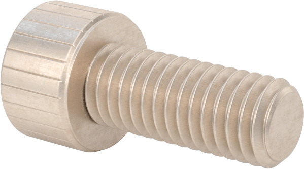 Temizlenmiş ve Torbalı 18-8 Paslanmaz Çelik Soket Başlı Vida, Yüksek Vakum için, M5 x 0,8 mm Diş Boyutu, 12 mm Uzunluk