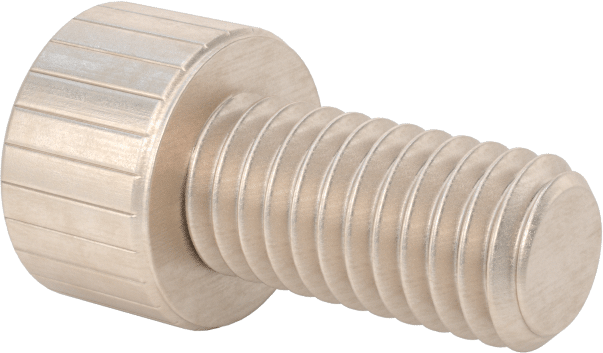 Temizlenmiş ve Torbalı 18-8 Paslanmaz Çelik Soket Başlı Vida, Yüksek Vakum için, M6 x 1 mm Diş Boyutu, 12 mm Uzunluk