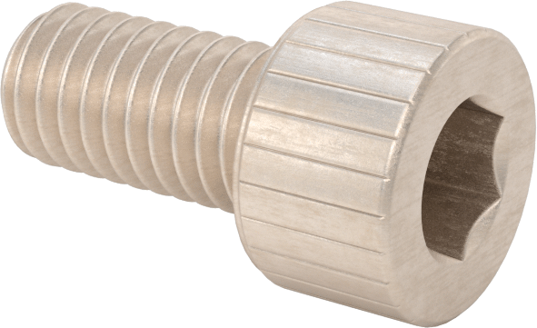 Temizlenmiş ve Torbalı 18-8 Paslanmaz Çelik Soket Başlı Vida, Yüksek Vakum için, M6 x 1 mm Diş Boyutu, 12 mm Uzunluk