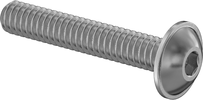 316 Paslanmaz Çelik Flanşlı Düğme Başlı Vida, 1/4"-20 Diş, 1-1/2" Uzunluk