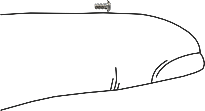 Düğme Başlı Torx Vidaları, 18-8 Paslanmaz Çelik, 00-90 Diş, 3/32" Uzunluk