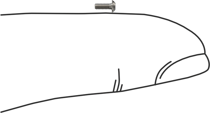Düğme Başlı Torx Vidaları, 18-8 Paslanmaz Çelik, 00-96 Diş, 1/8" Uzunluk