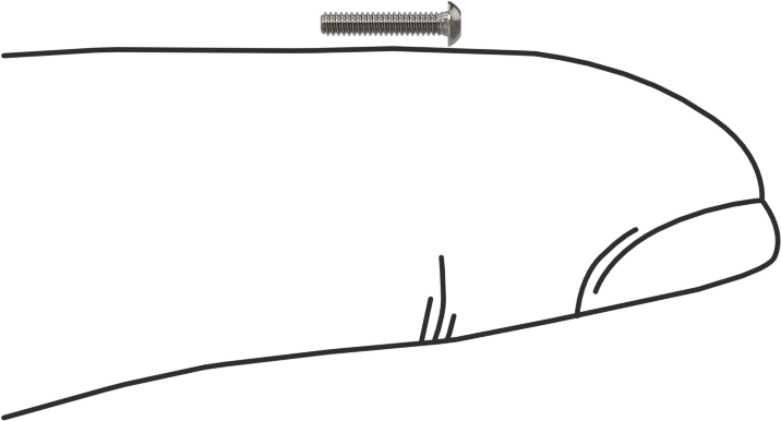 Düğme Başlı Torx Vidaları, 18-8 Paslanmaz Çelik, 00-96 Diş, 1/4" Uzunluk
