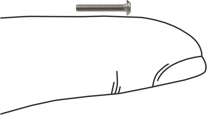 Düğme Başlı Torx Vidaları, 18-8 Paslanmaz Çelik, 0-80 Diş, 3/8" Uzunluk