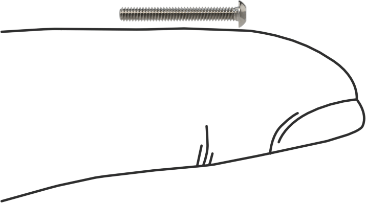 Düğme Başlı Torx Vidaları, 18-8 Paslanmaz Çelik, 0-80 Diş, 1/2" Uzunluk