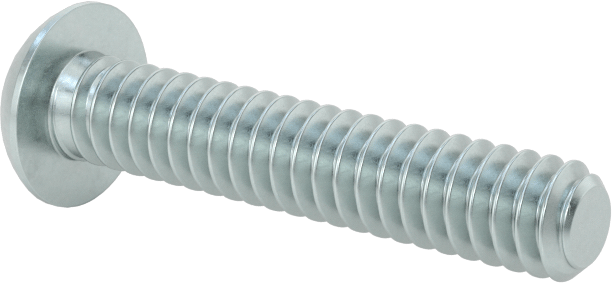Düğme Başlı Torx Vidaları, Çinko Kaplı Çelik, 10-24 Diş Boyutu, 1" Uzunluk