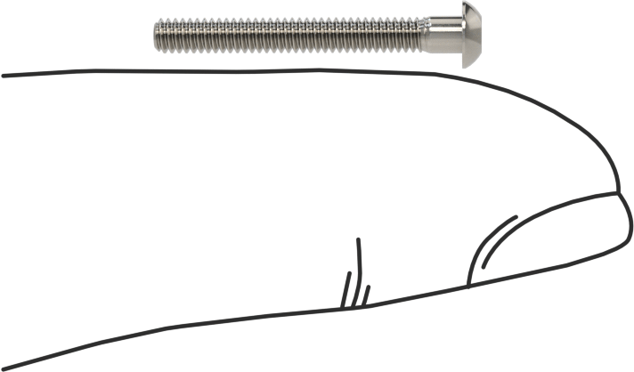 Düğme Başlı Torx Vidaları, 18-8 Paslanmaz Çelik, 2-56 Diş, 3/4" Uzunluk