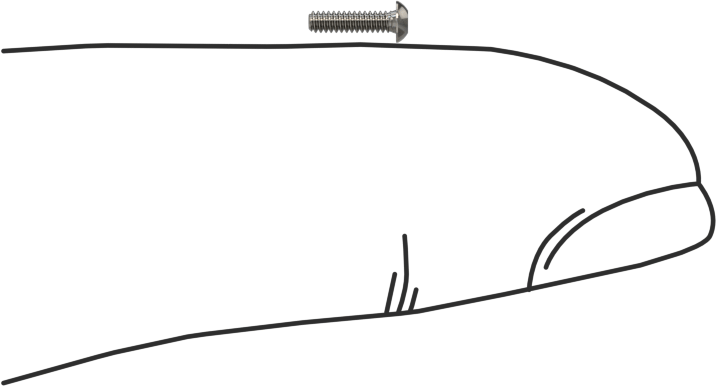 Düğme Başlı Torx Vidaları, Paslanmaz Çelik, 00-90 Diş Boyutu, 3/16" Uzunluk