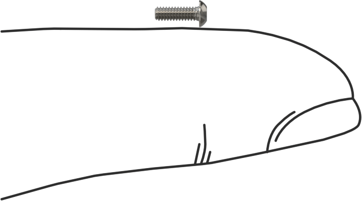Düğme Başlı Torx Vidaları, Paslanmaz Çelik, 0-80 Diş Boyutu, 3/16" Uzunluk