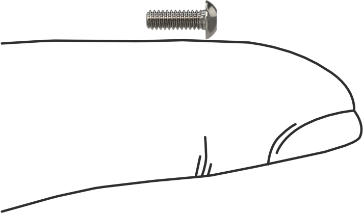 Düğme Başlı Torx Vidaları, Paslanmaz Çelik, 2-56 Diş Boyutu, 1/4" Uzunluk