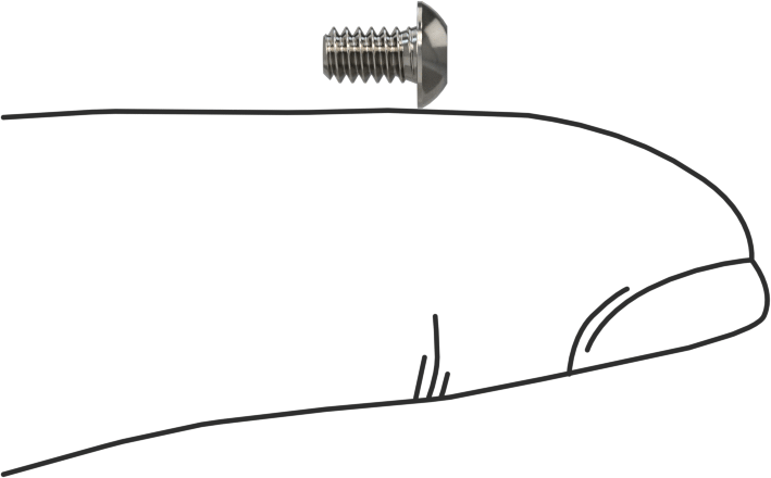 Düğme Başlı Torx Vidaları, Paslanmaz Çelik, 4-40 Diş Boyutu, 3/16" Uzunluk