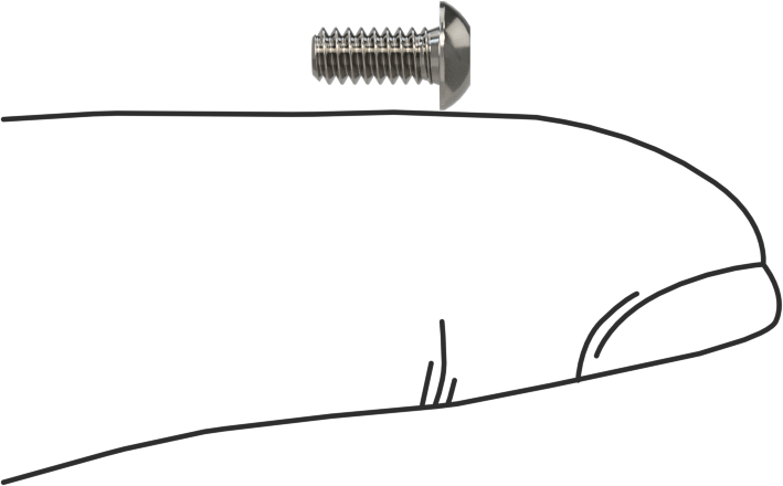Düğme Başlı Torx Vidaları, Paslanmaz Çelik, 4-40 Diş Boyutu, 1/4" Uzunluk