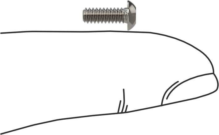 Düğme Başlı Torx Vidaları, Paslanmaz Çelik, 4-40 Diş Boyutu, 5/16" Uzunluk