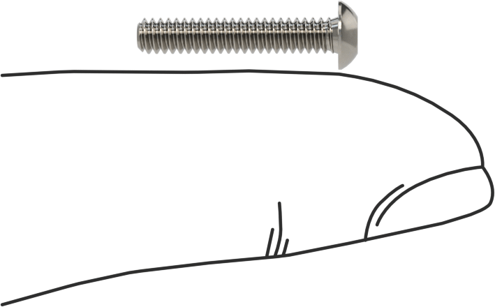 Düğme Başlı Torx Vidaları, 18-8 Paslanmaz Çelik, 4-40 Diş, 5/8" Uzunluk