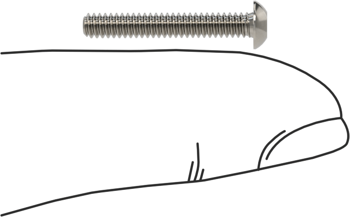 Düğme Başlı Torx Vidaları, 18-8 Paslanmaz Çelik, 4-40 Diş, 3/4" Uzunluk