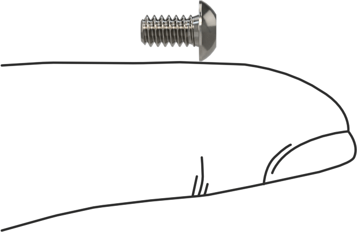 Düğme Başlı Torx Vidaları, Paslanmaz Çelik, 6-32 Diş Boyutu, 1/4" Uzunluk