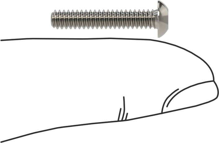 Düğme Başlı Torx Vidaları, Paslanmaz Çelik, 6-32 Diş Boyutu, 3/4" Uzunluk
