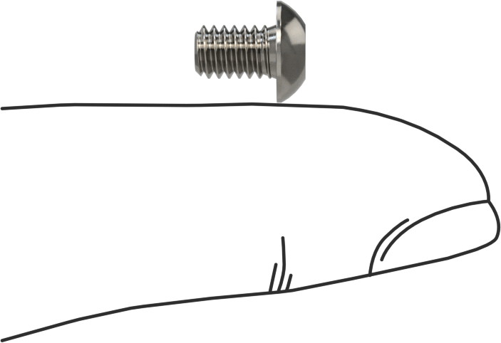Düğme Başlı Torx Vidaları, Paslanmaz Çelik, 8-32 Diş Boyutu, 1/4" Uzunluk