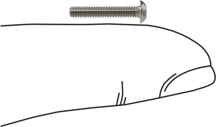 Düğme Başlı Torx Vidaları, Paslanmaz Çelik, 2-56 Diş Boyutu, 1/2" Uzunluk
